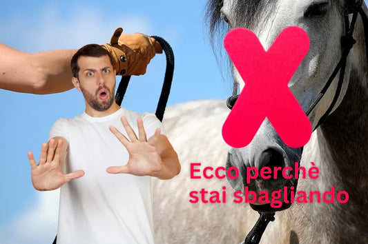 Quale capezza scegliere per il tuo cavallo? Guida completa alle tipologie più comuni