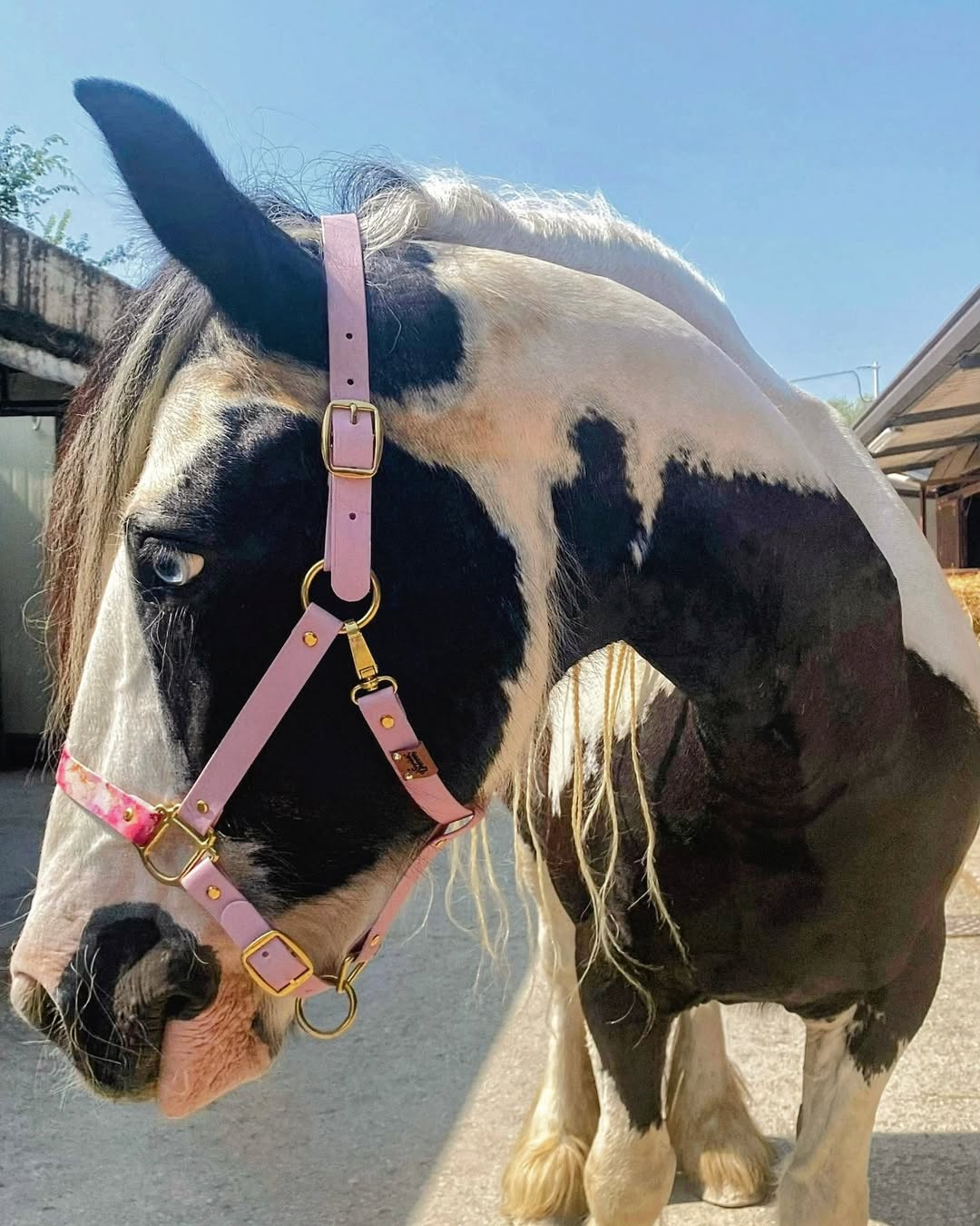 Cotton Candy Halter - Rosé Quartz