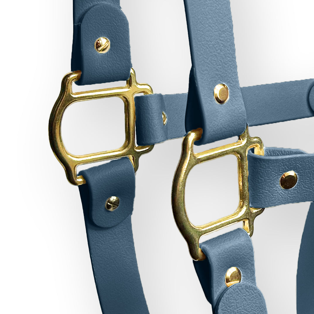 Ashen Blue