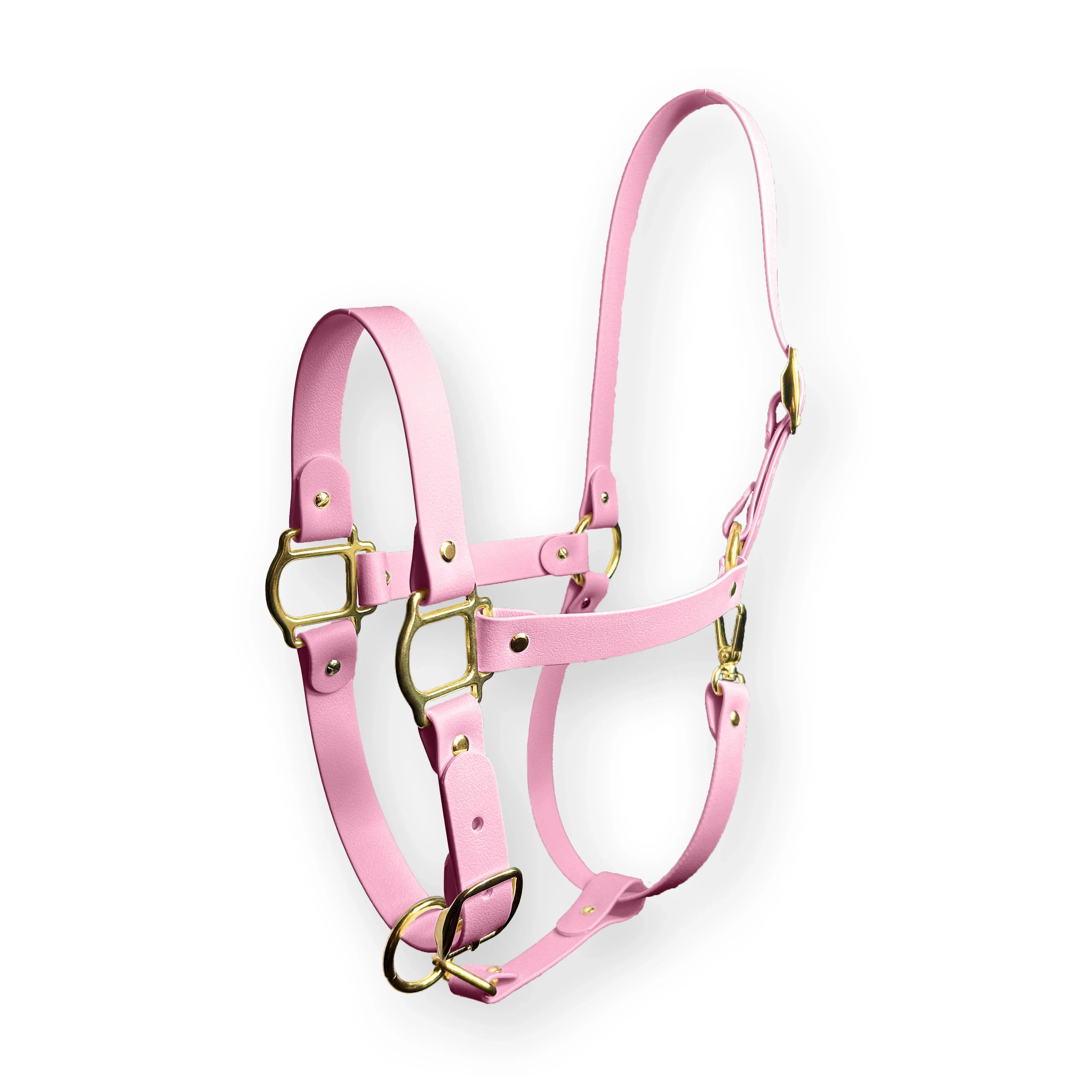 Capezze - Modello Equi Luxe