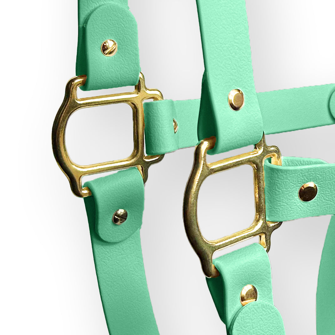 Mint Breeze