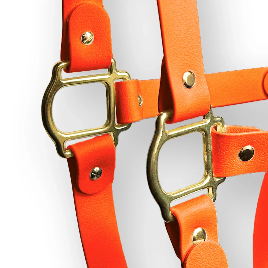 Neon Orange