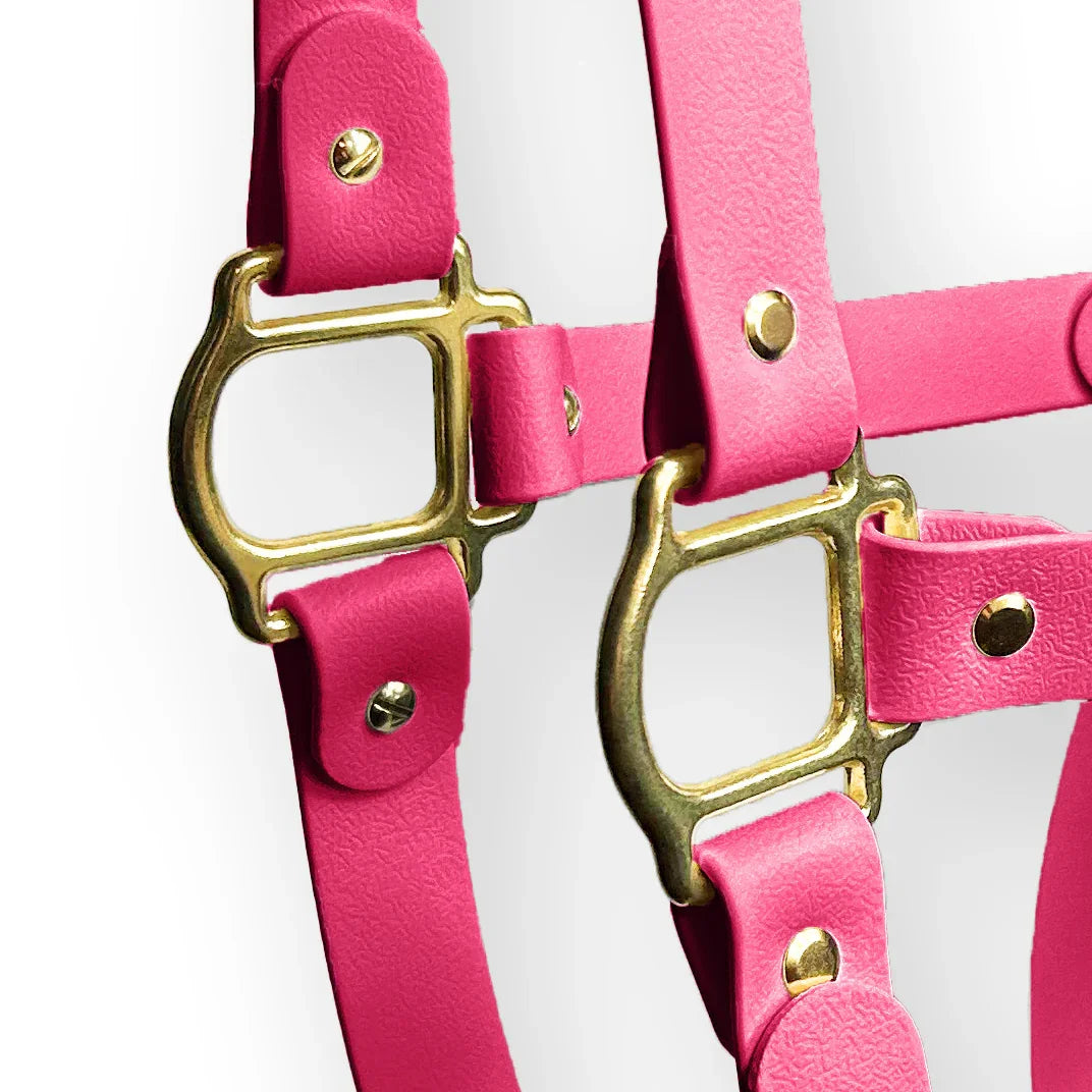 Pink Flamingo