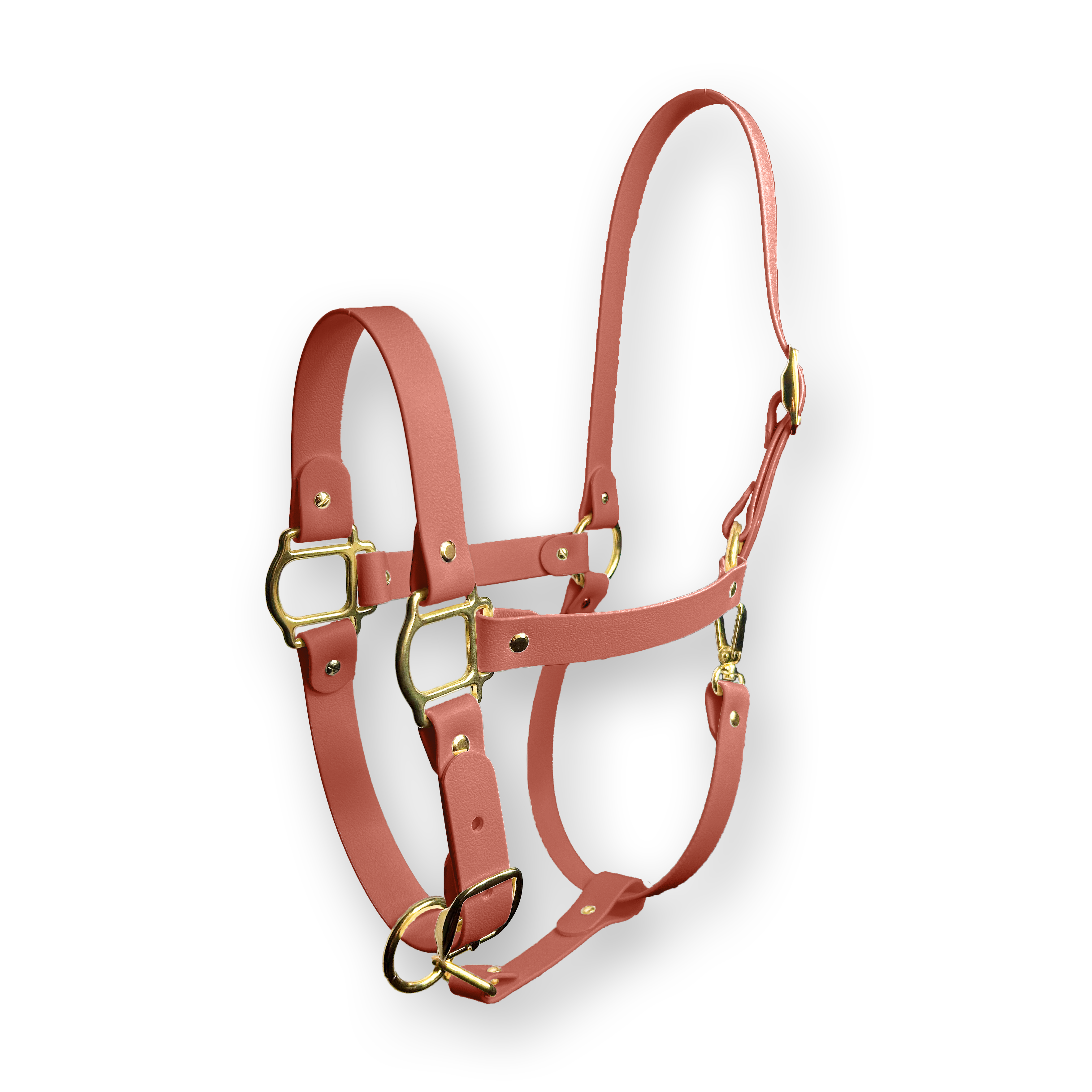 Capezze - Modello Equi Luxe
