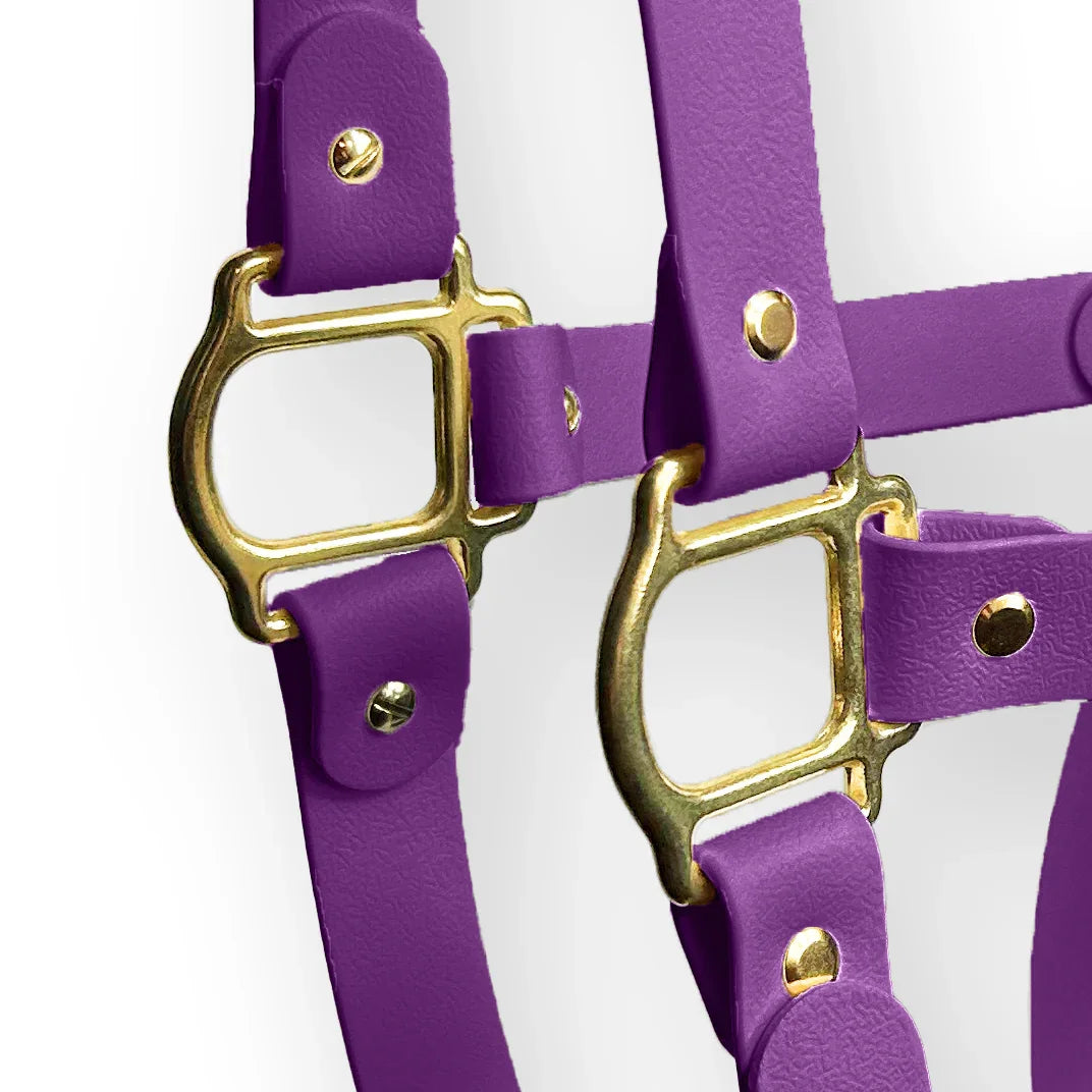 Violet Vibe