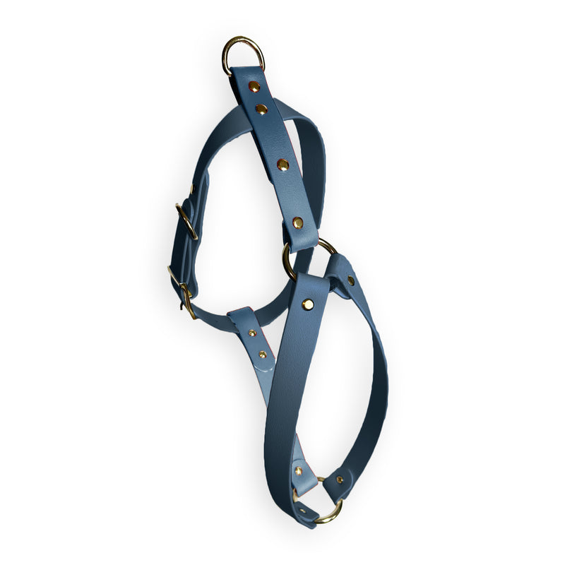 Pettorina Ashen Blue