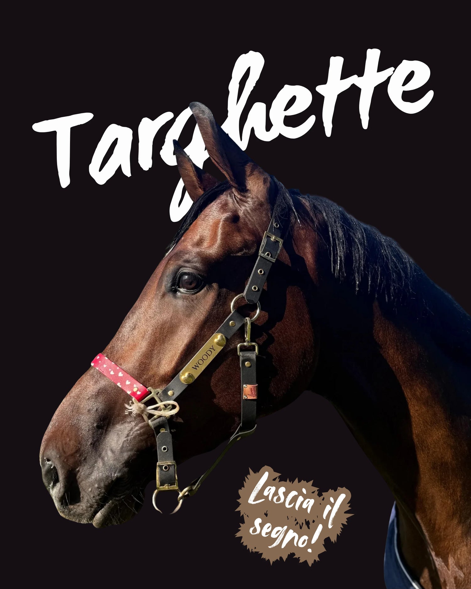 Targhette