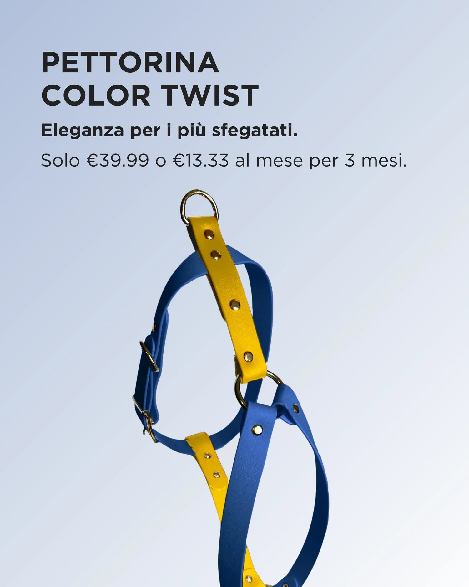 Pettorine Color Twist