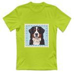 T-Shirt Unisex T-shirt cane - BOVARO DEL BERNESE