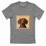T-Shirt Unisex T-shirt cane - BASSOTTO
