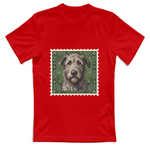 T-Shirt Unisex cane - IRISH WOLFHOUND