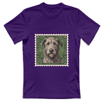 T-Shirt Unisex cane - IRISH WOLFHOUND