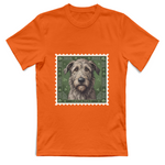 T-Shirt Unisex cane - IRISH WOLFHOUND
