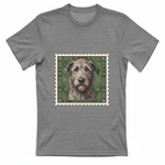 T-Shirt Unisex cane - IRISH WOLFHOUND