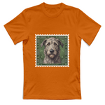 T-Shirt Unisex cane - IRISH WOLFHOUND