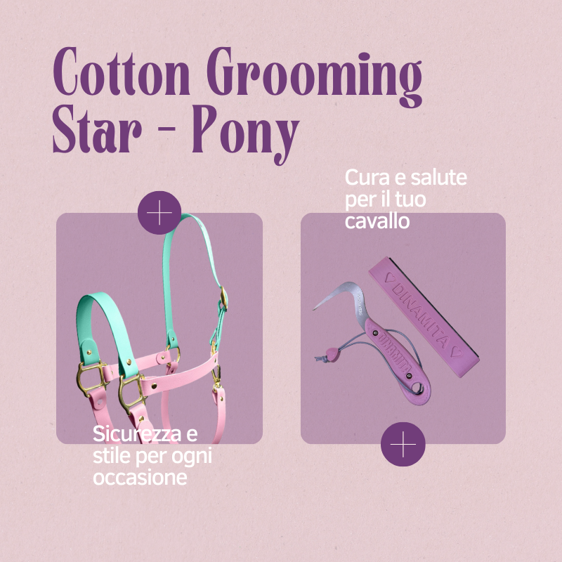 PONYLAYERS - Cotton Grooming Star - Nettapiedi + Pony Brush