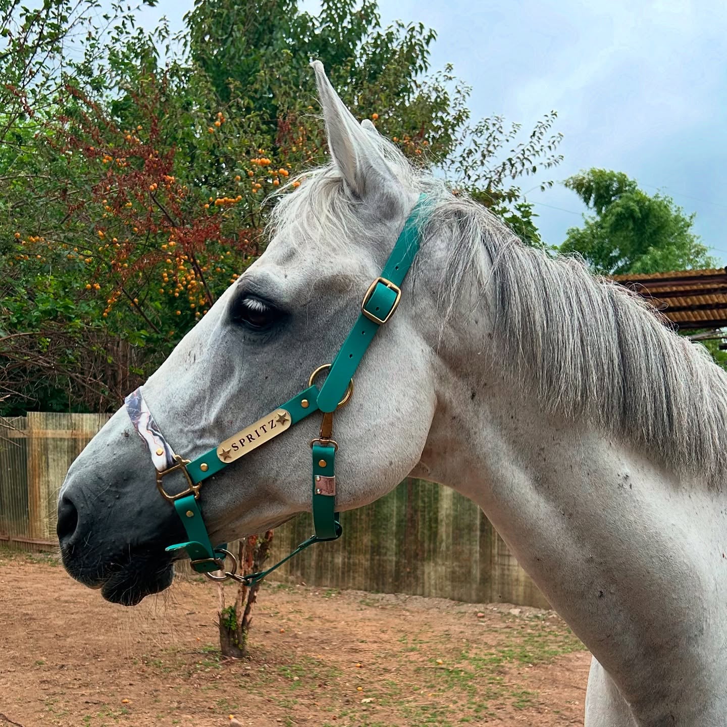 Biothane Emerald Essence Halter