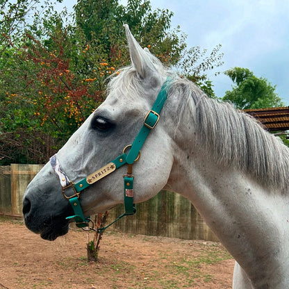 Biothane Emerald Essence Halter