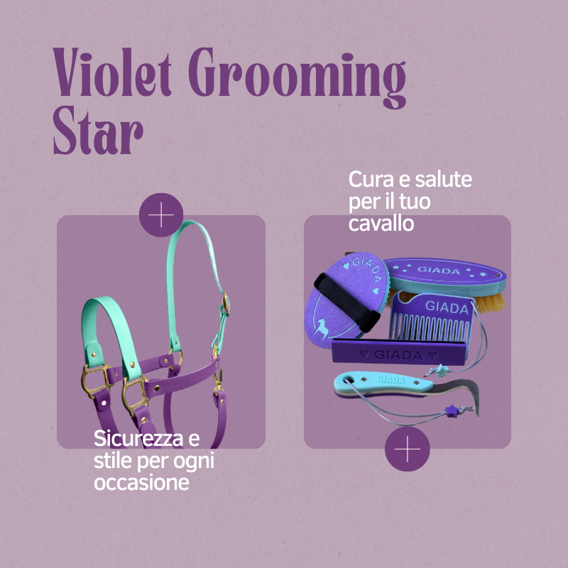PONYLAYERS - Violet Grooming Star - Grooming Kit Completo