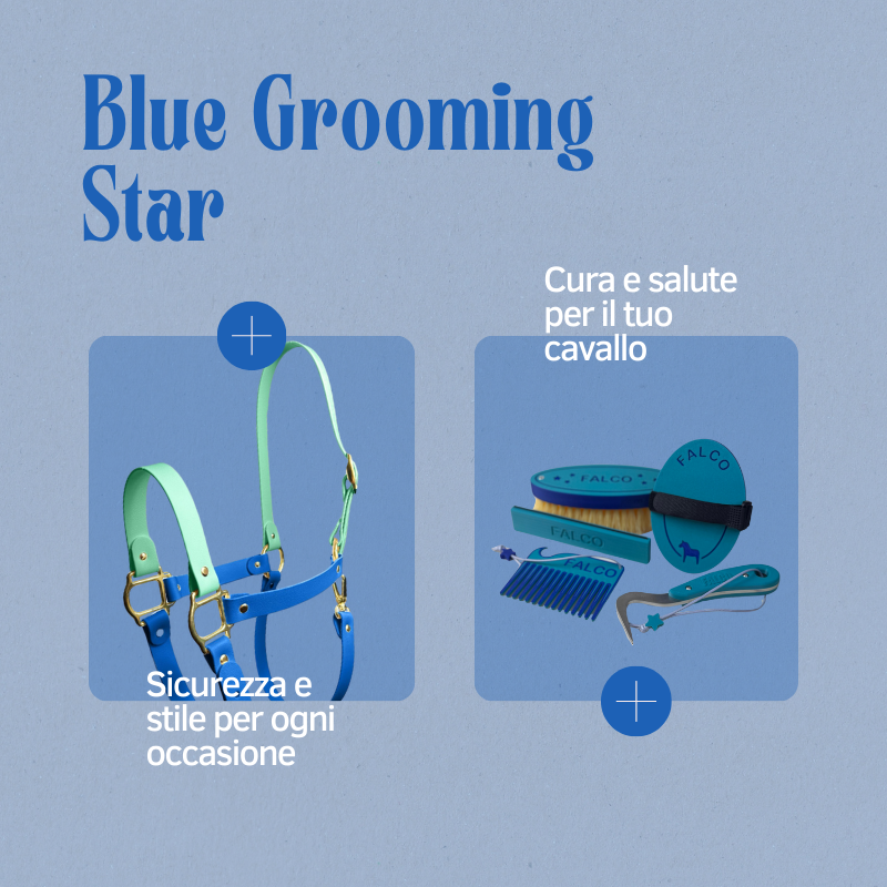 PONYLAYERS - Blue Grooming Star - Grooming Kit Completo