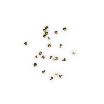 Rivetti in ottone (16 pezzi - 1 capezza)
