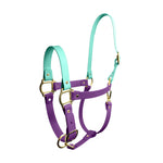 PONYLAYERS - Violet Grooming Star - Grooming Kit Completo