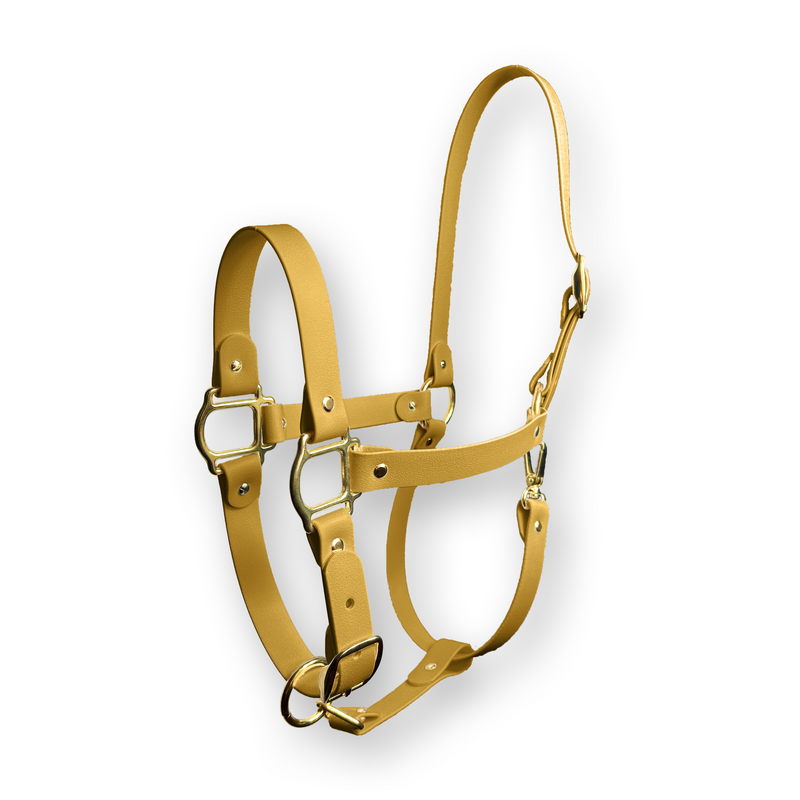 Capezze - Modello Equi Luxe