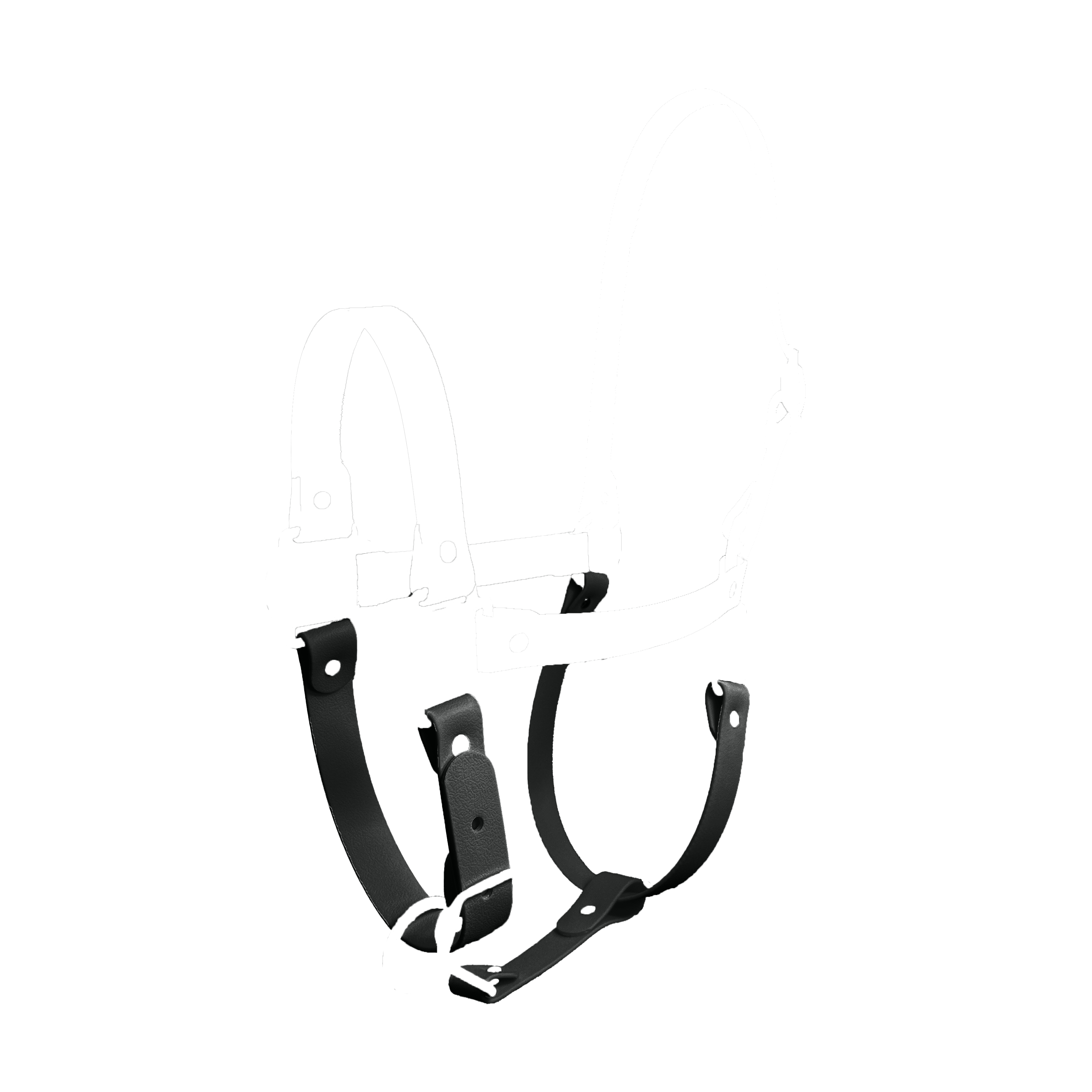 Base Raven