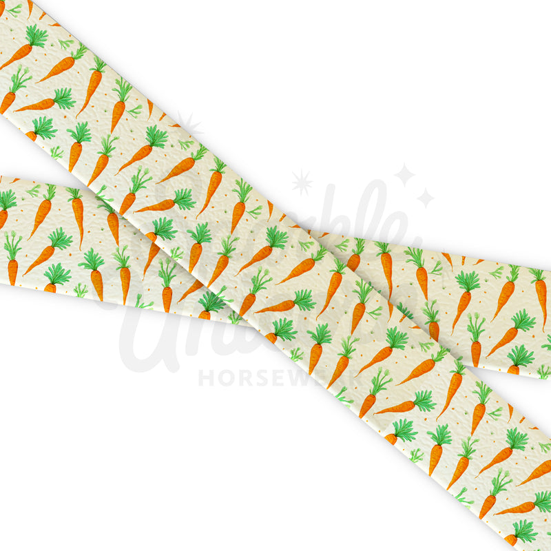 Carrots - Bliss Carrots - Fettuccia Biothane - Stampato UV