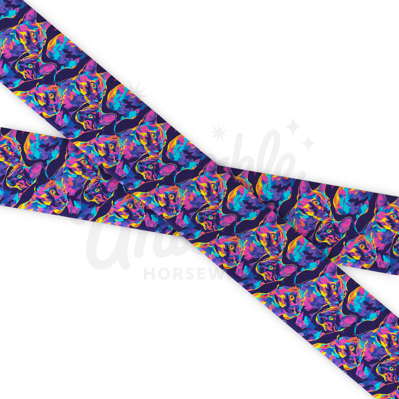 Cats - Caleido Cats - Fettuccia Biothane - Stampato UV