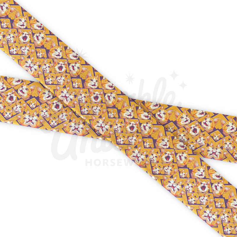 Cats - Orange Cats - Fettuccia Biothane - Stampato UV