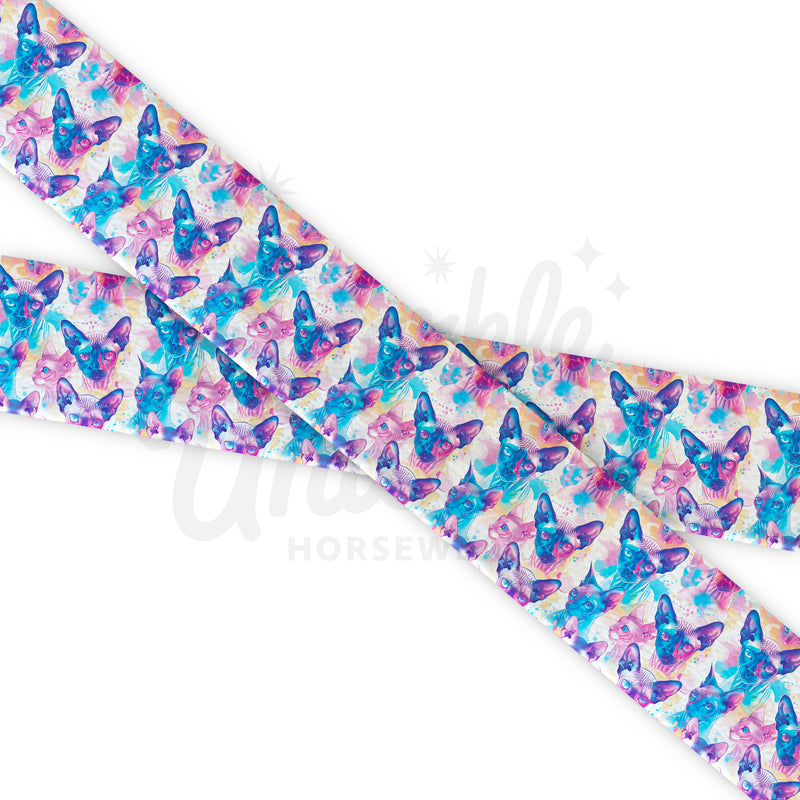 Cats - Sphinx Cats - Fettuccia Biothane - Stampato UV