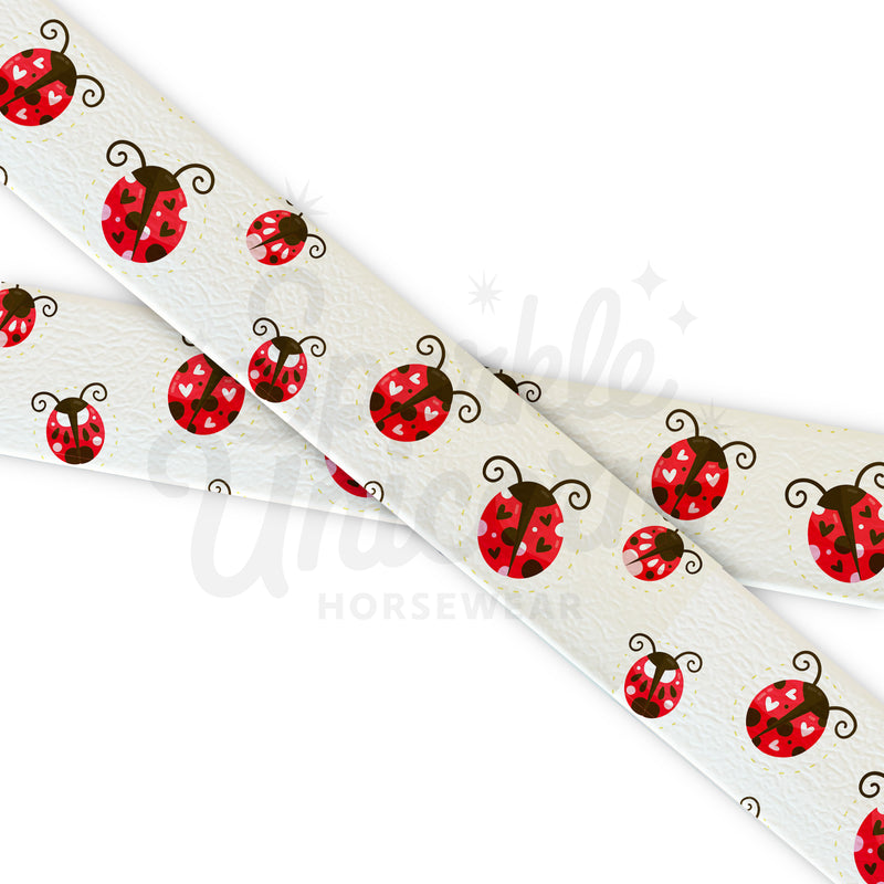 Spring - Lady Bug - Fettuccia Biothane - Stampato UV