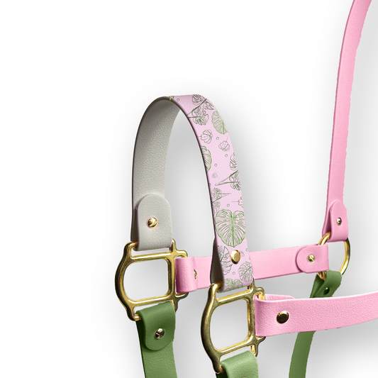 Nose Pure - Blush Tropics