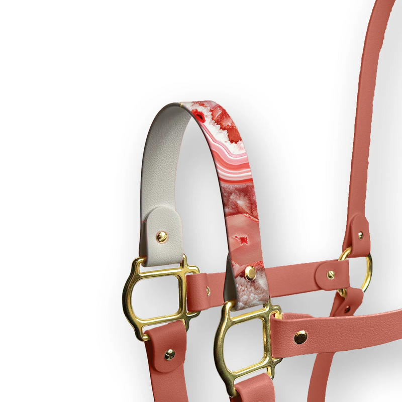 Nez Pur - Marbre Corail