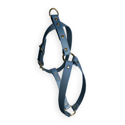 Ashen Blue Harness