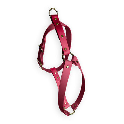 Crimson Velvet Harness