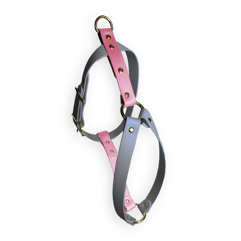 Pettorina ColorTwist - Fog Paw