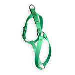 Pettorina Mint Breeze