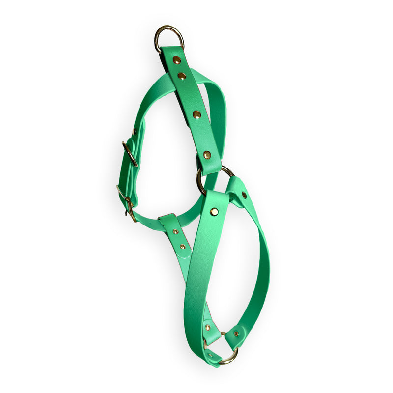 Pettorina Mint Breeze