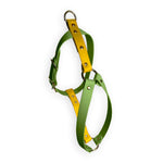 Pettorina ColorTwist - Ever Leaf