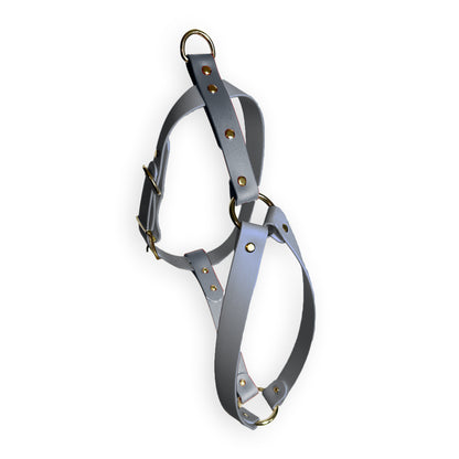 Smoke Harness